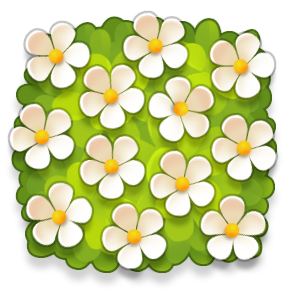 flowers.png